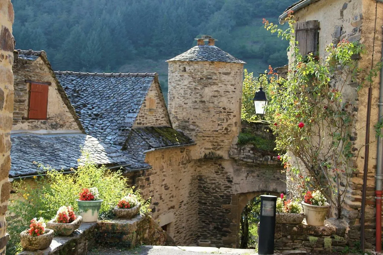 La Maisonnette En Bois Estaing  Holiday home
