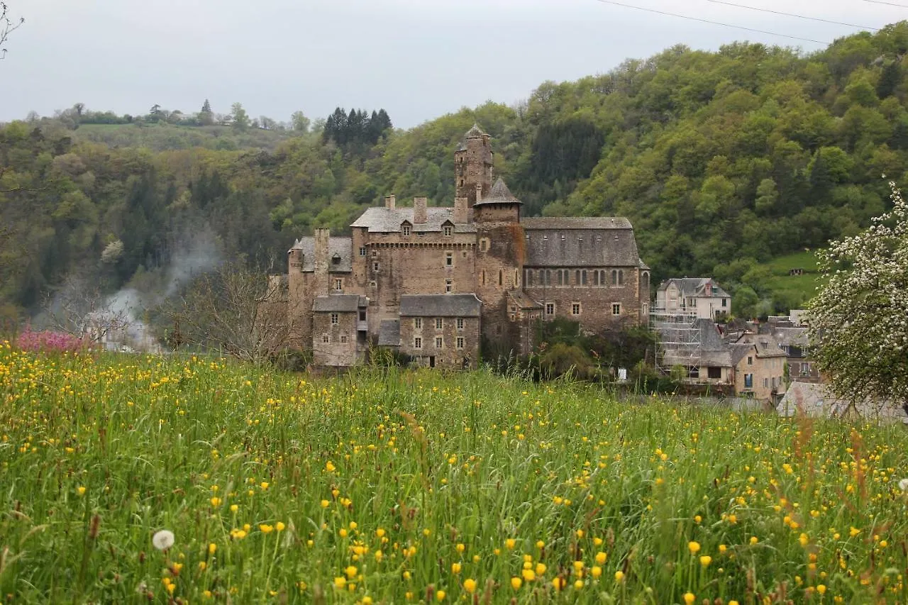 Holiday home La Maisonnette En Bois Estaing